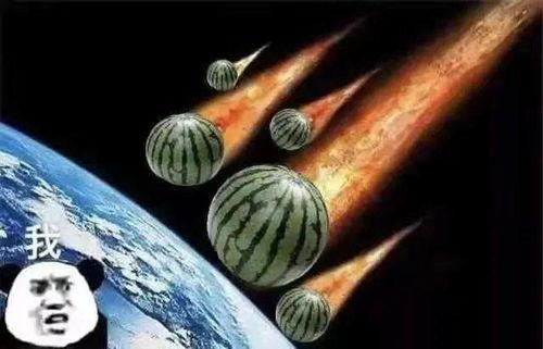 关于娱乐圈吃瓜文案句子