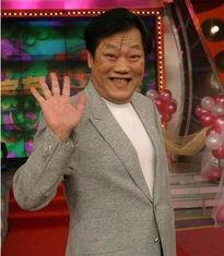 娱乐界去世,缅怀已故明星，致敬永恒的艺术之光